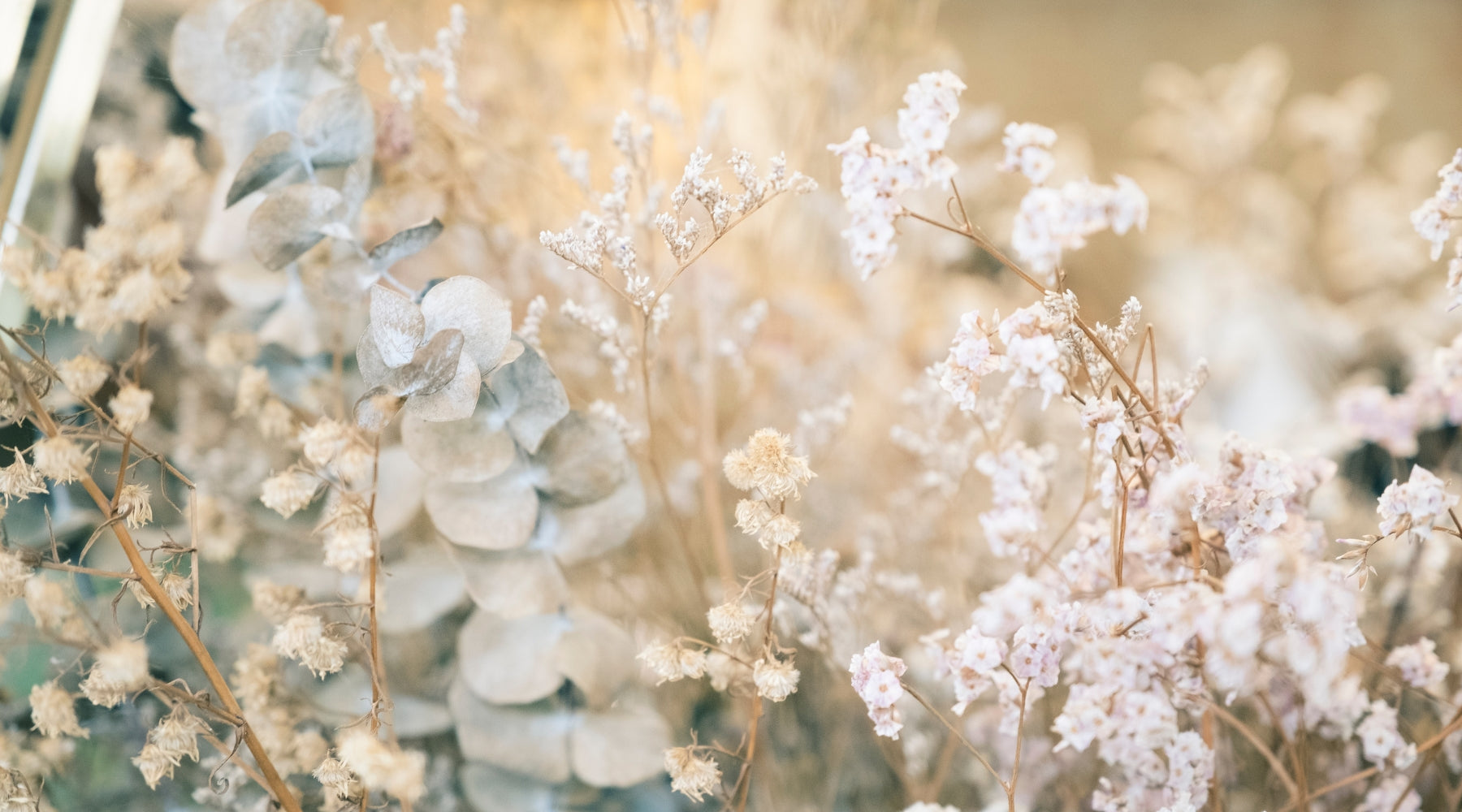 Feminine Scents