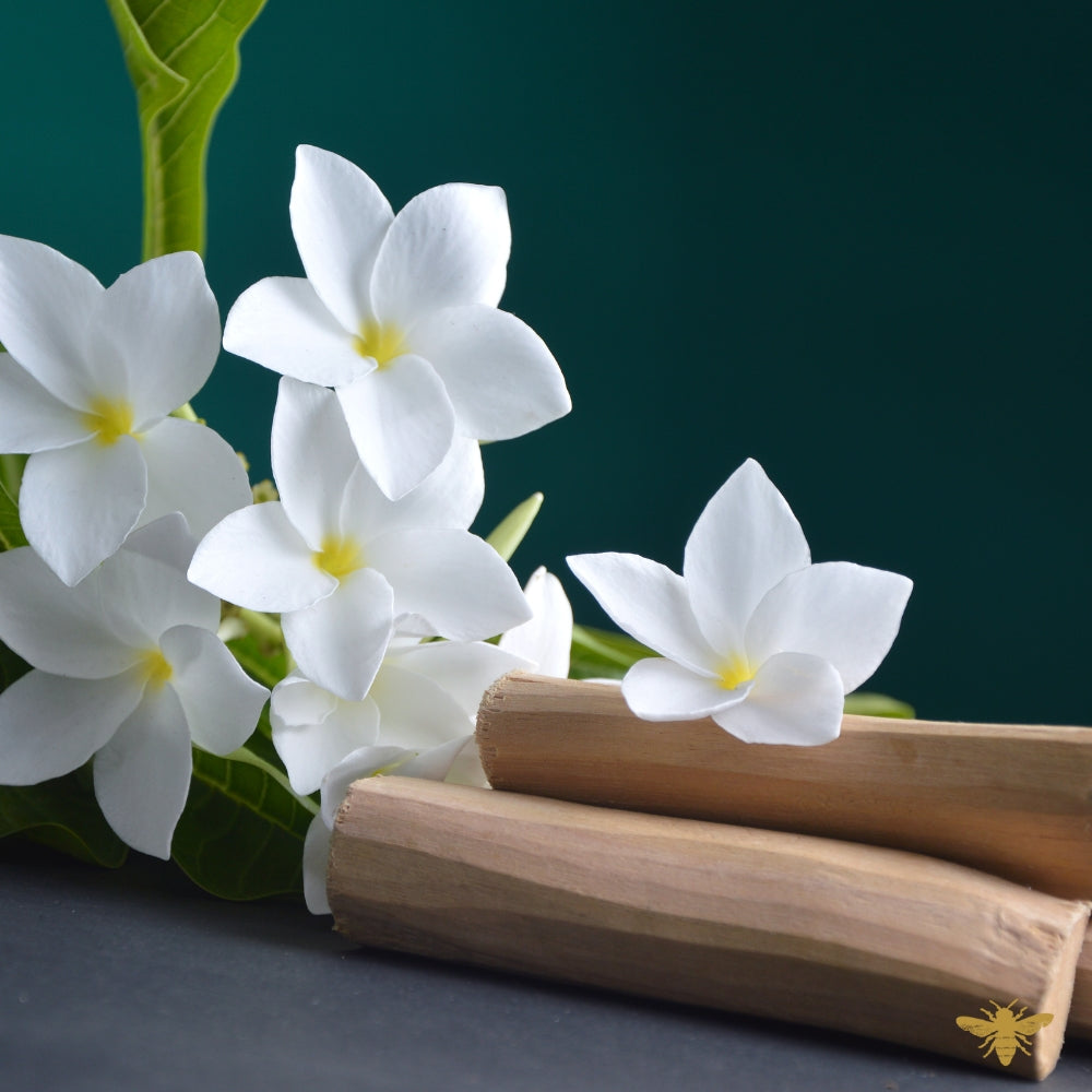 Asian Sandalwood | Fragrance Oil