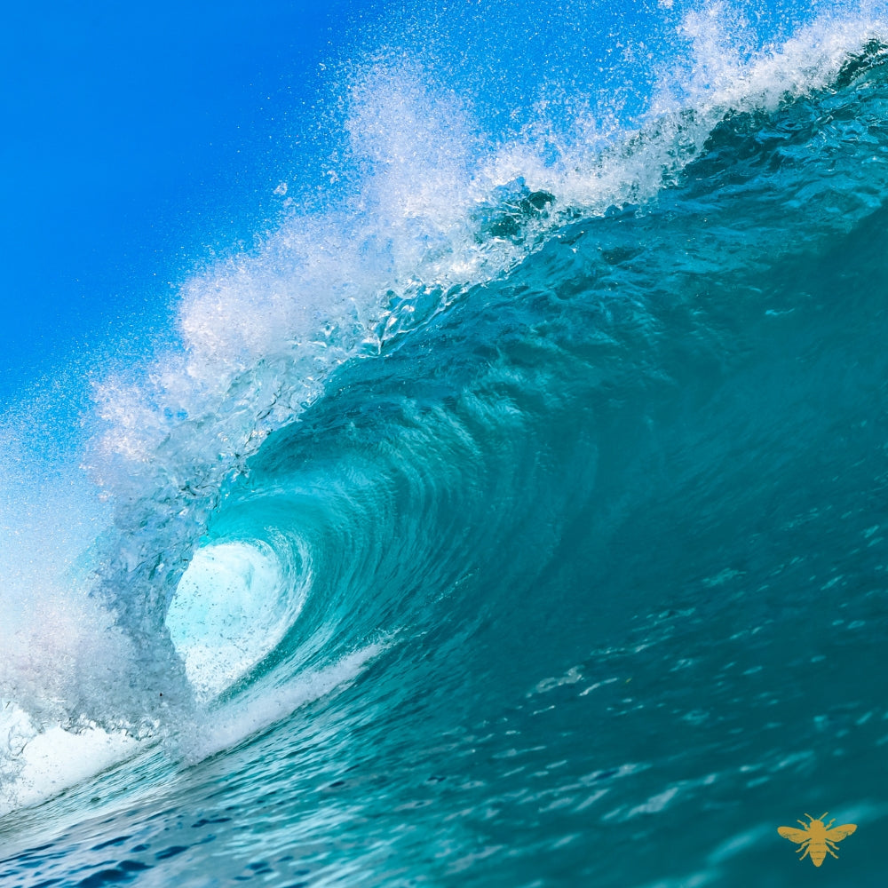 Bali Blue Surf | Fragrance Oil