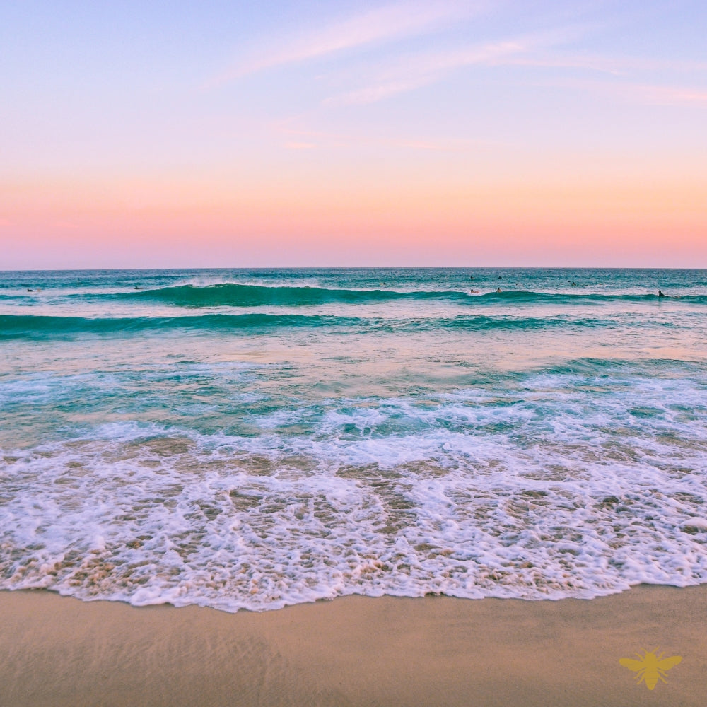 Tidal Breeze | Fragrance Oil