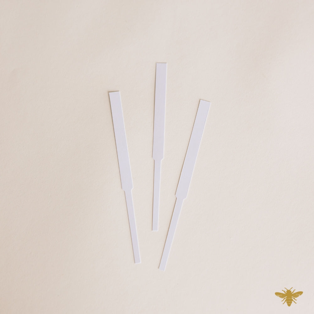 Fragrance Blotter Test Strips | Bag of 100