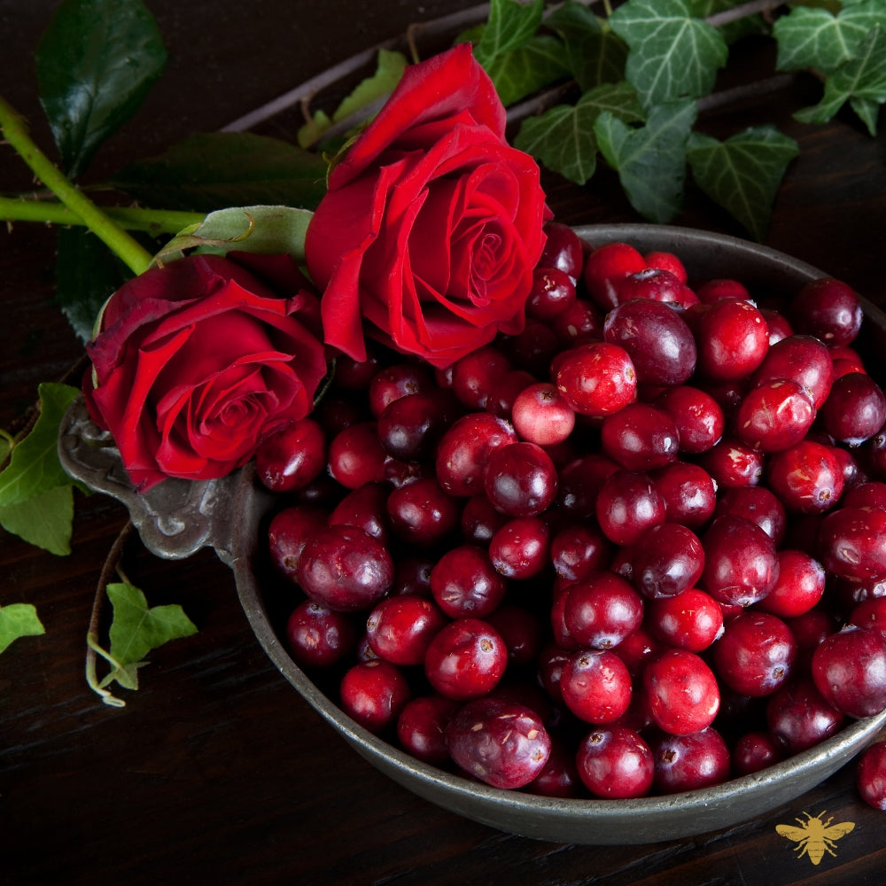 Cranberry Bloom | Cranberry & Rose Fragrance Oil