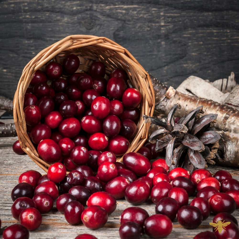Cranberry Woods | Fragrance Oil