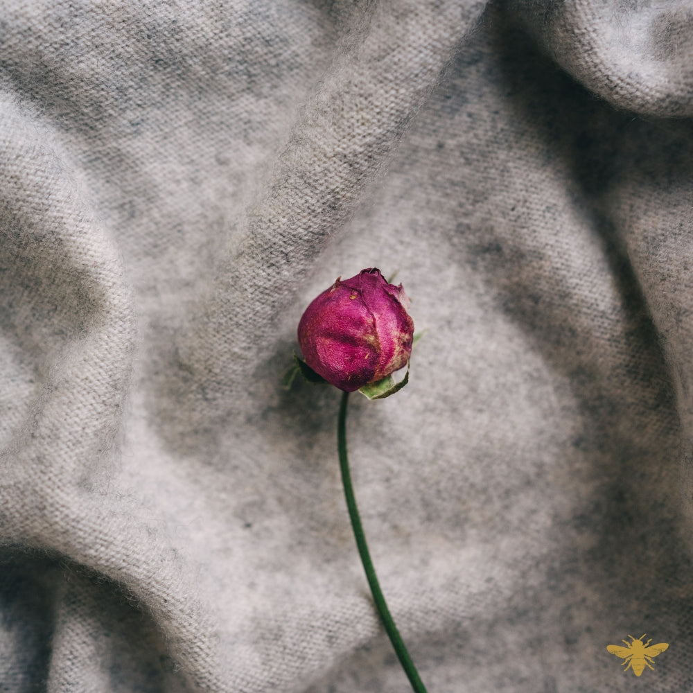 Forgotten Sweater | Cashmere + Rose Fragrance Oil