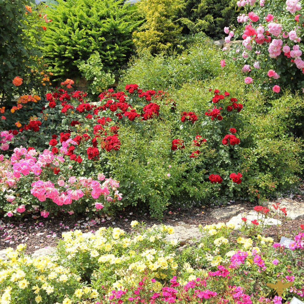 Le Jardin | Fragrance Oil