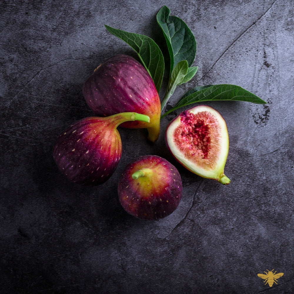 Midnight Fig | Fragrance Oil