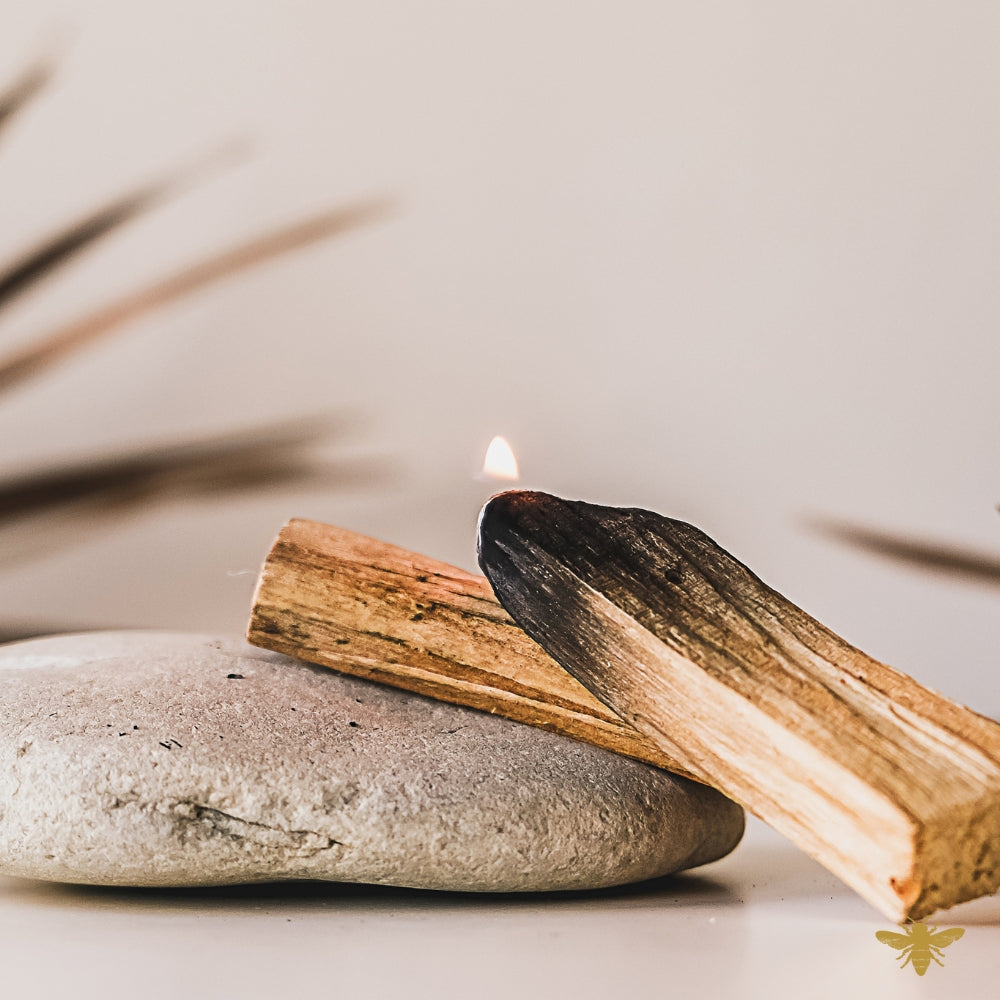 Palo Santo | Clean Fragrance Oil