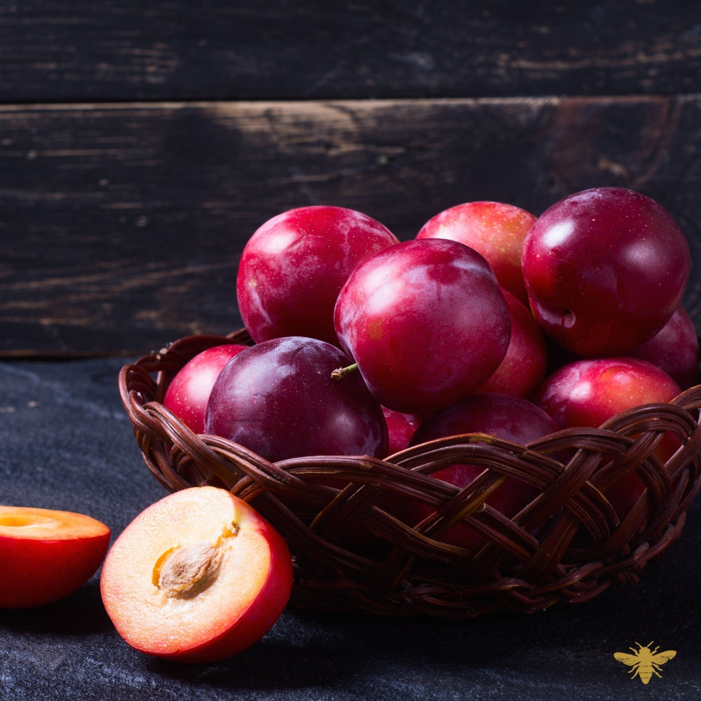 Plum Nectar | Plum Moscato Fragrance Oil