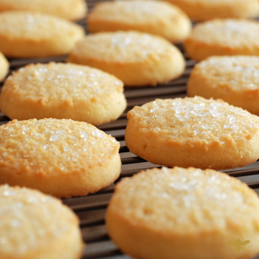 Warm Sugar Cookie | Clean Fragrance Oil