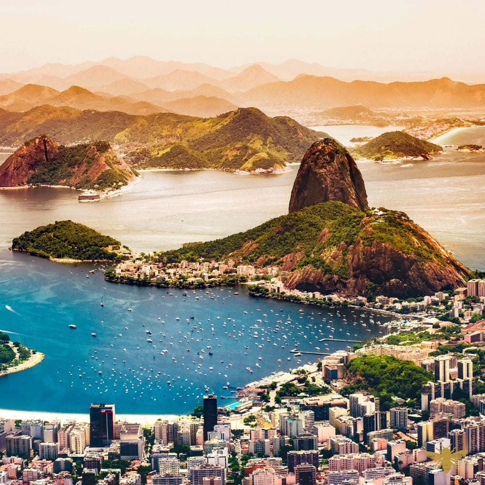When In Rio (type) | Fragrance Oil