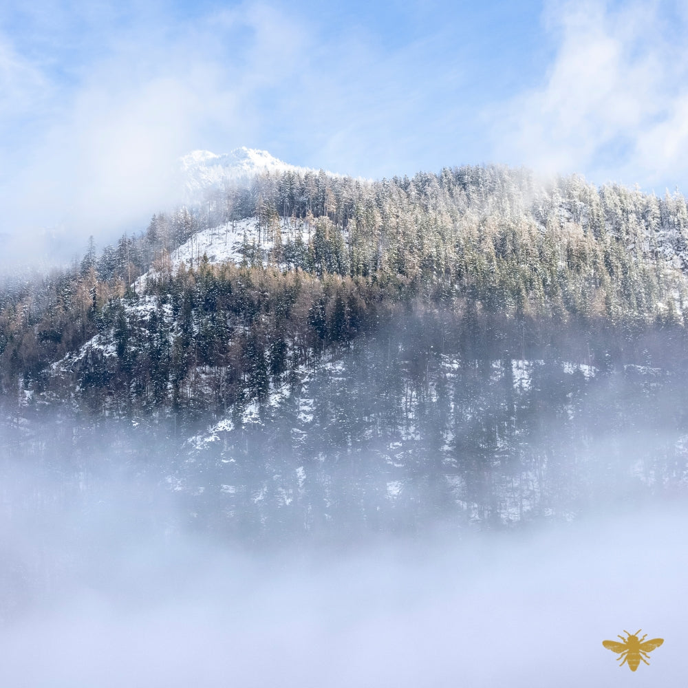 Alpine Veil | Fragrance Oil