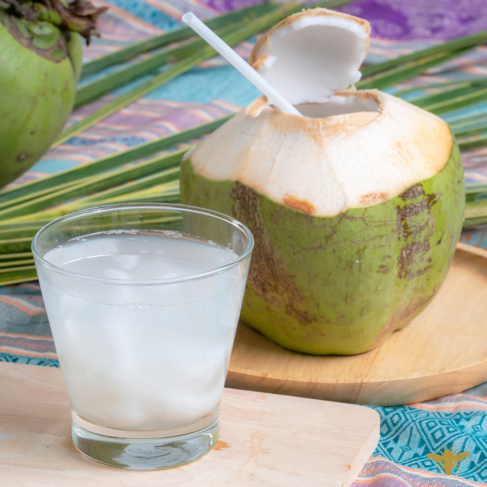 Coconut Grove | Buko Young Coconut Fragrance Oil