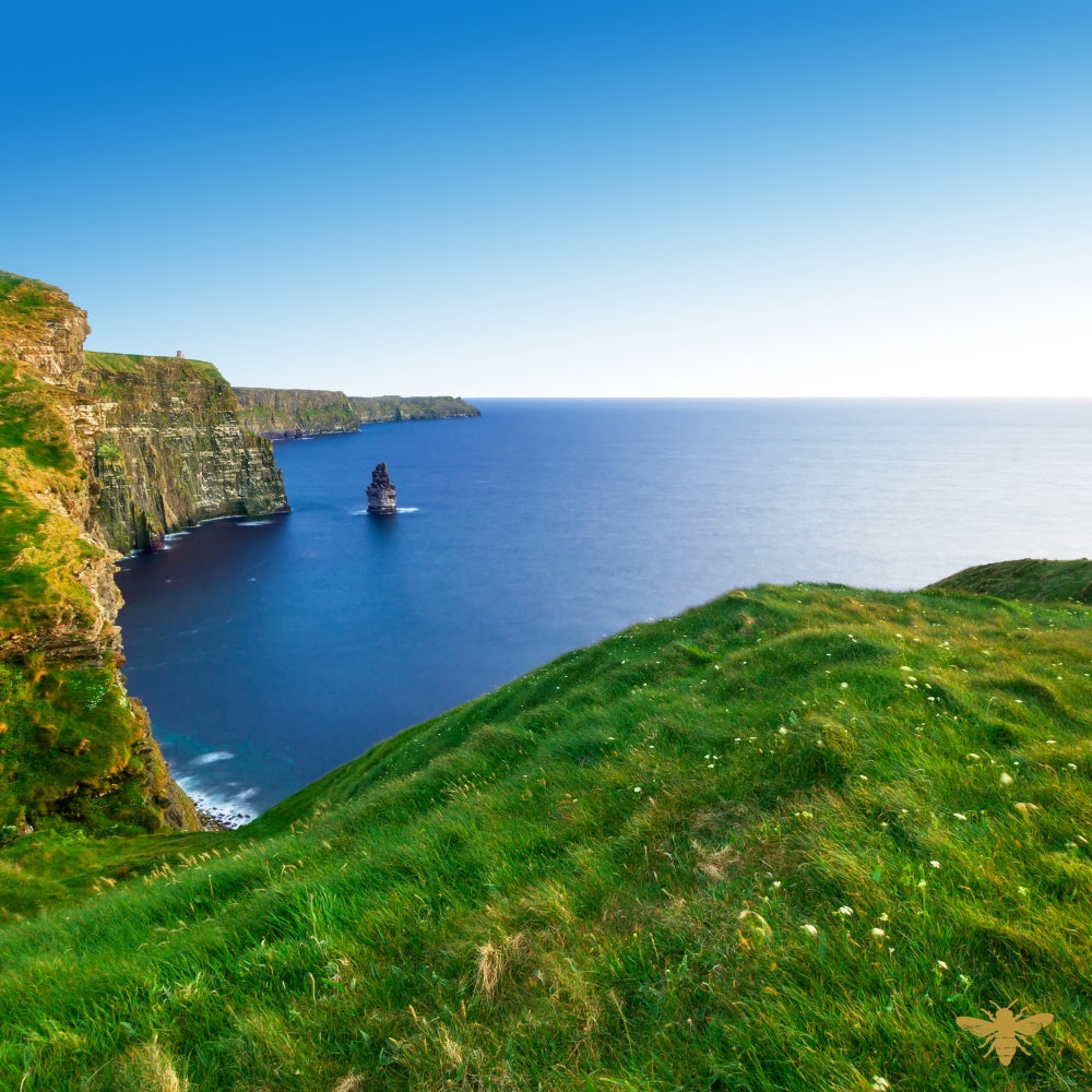 Energy of the Seas | Fragrance Oil