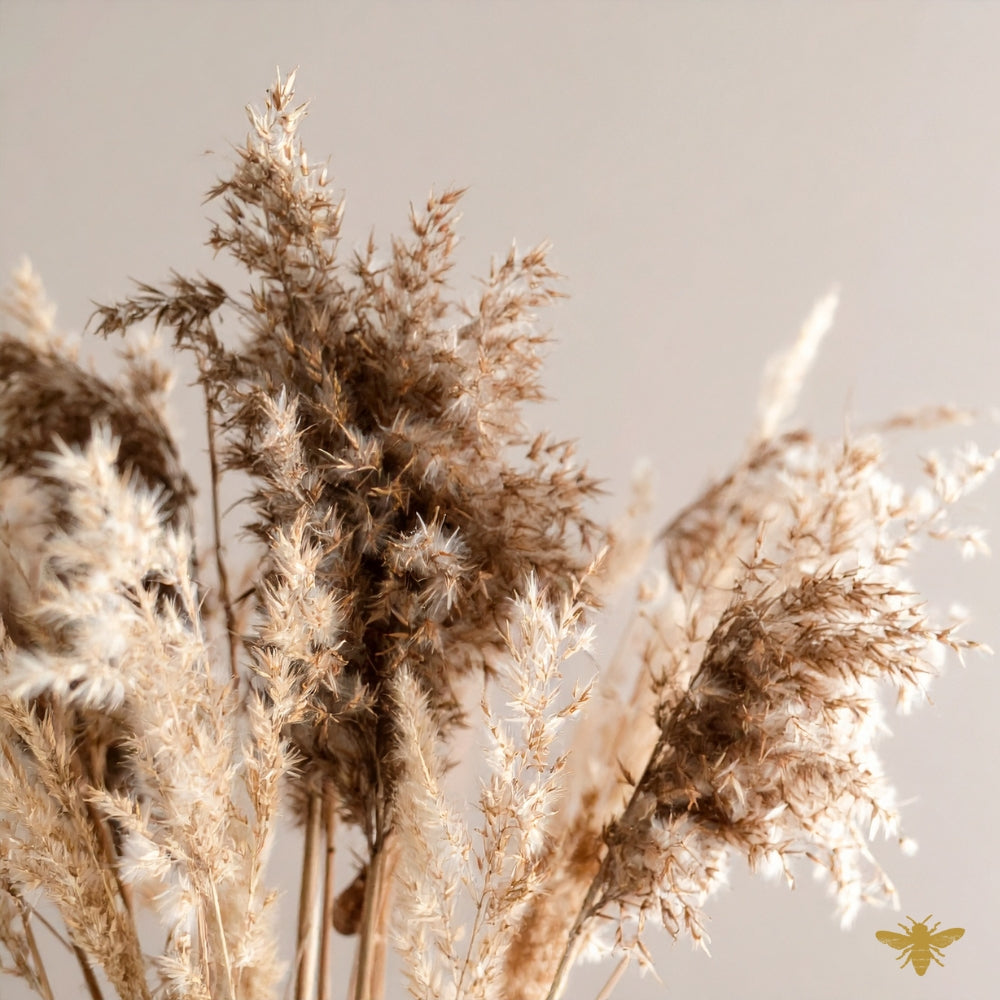 Golden Pampas | Pampas Grass Fragrance Oil