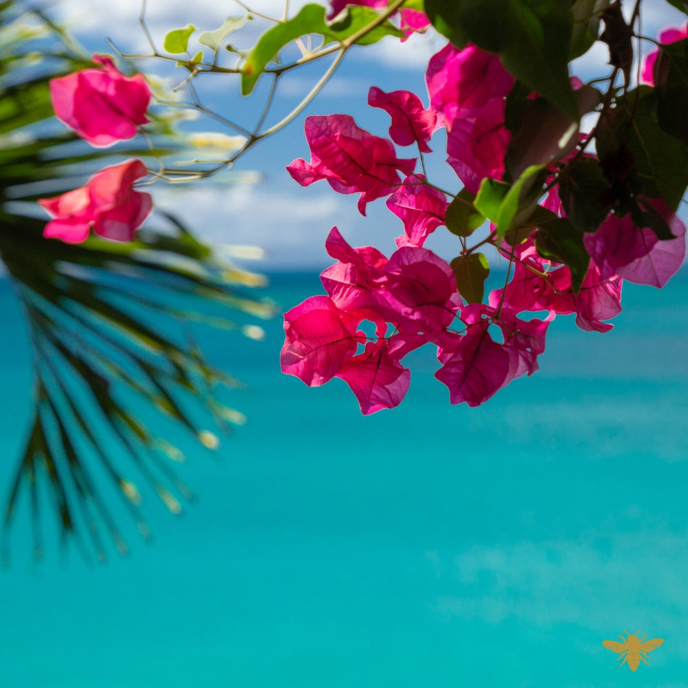 Isle Skylar (type) | Fragrance Oil