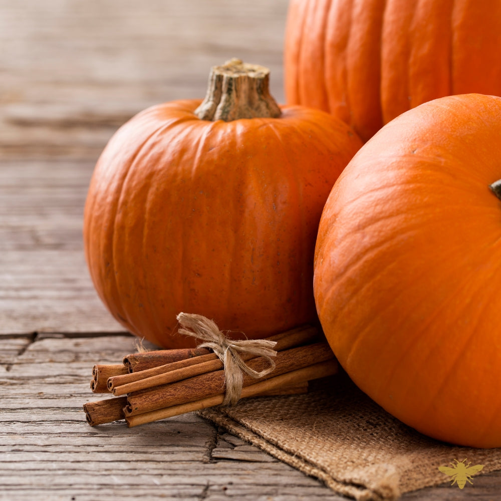 Pumpkins + Patchouli | Fragrance Oil