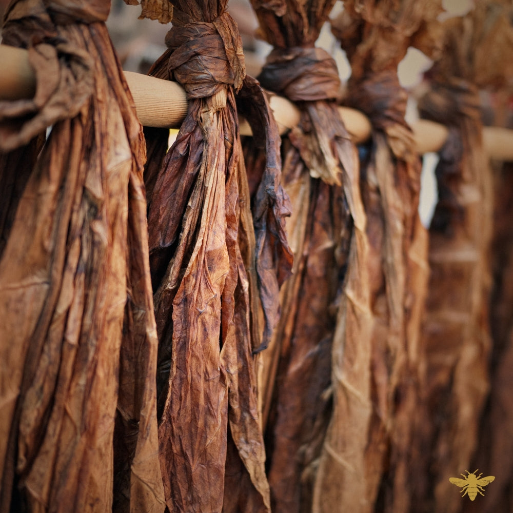 Tobacco & Vanille | Fragrance Oil