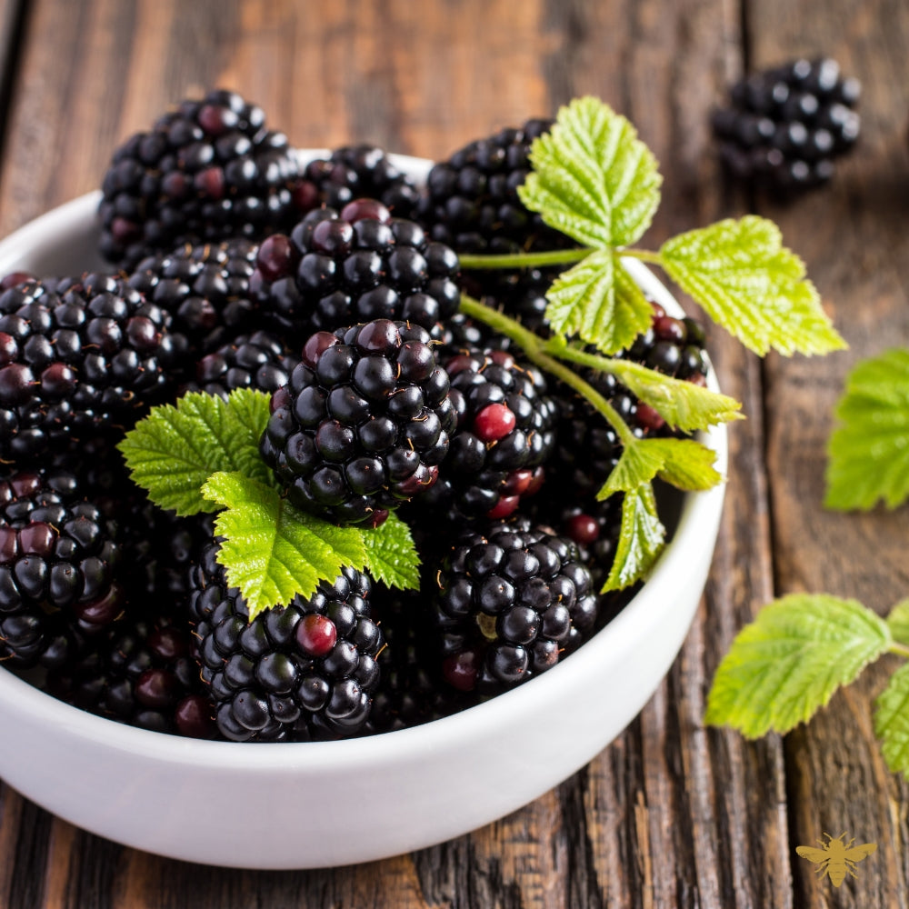 Violet Berry Compote | Fragrance Oil