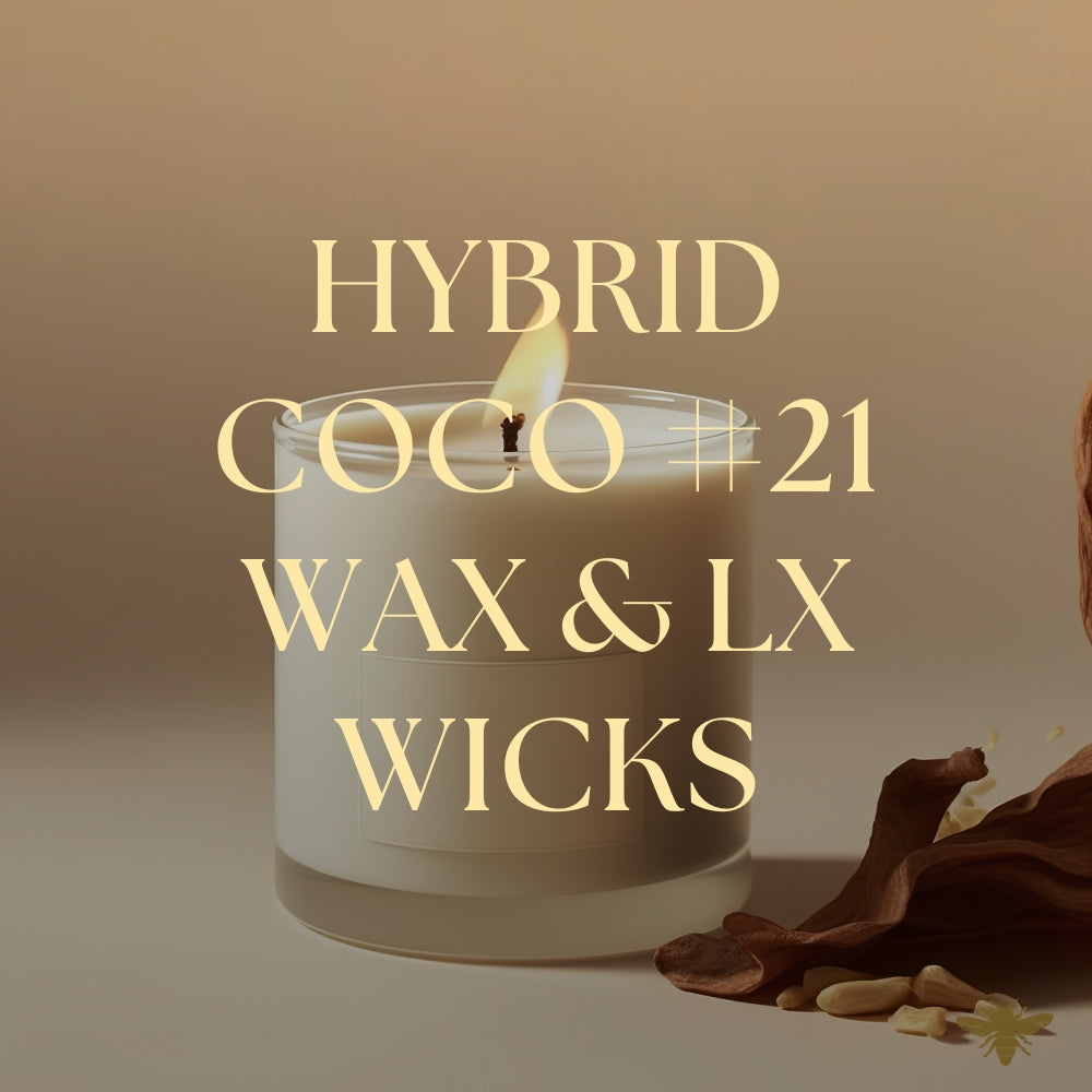 Hybrid Coco Container AB #21 Wax & LX Wicks