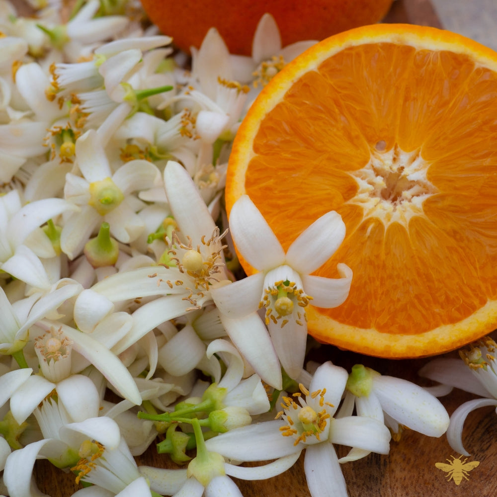 Signature Citrus by Dae (type) | Fragrance Oil
