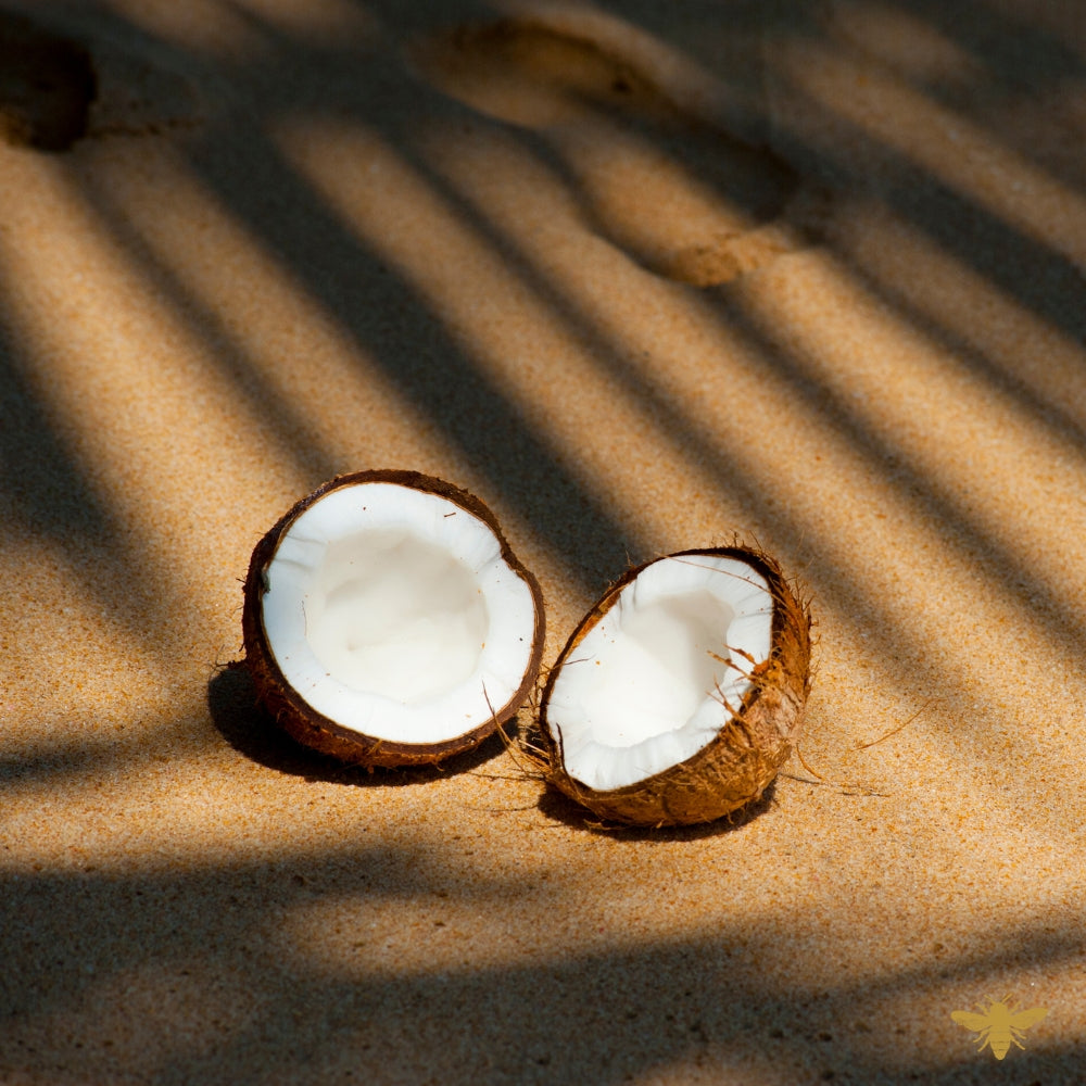 Coconut Sands | Fragrance Oil