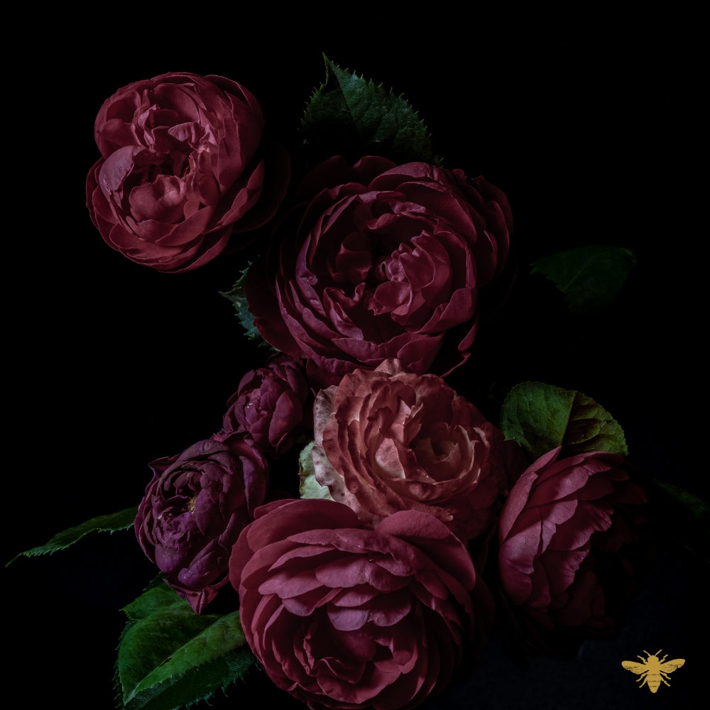 Roses + Pink Peppercorn | Dark Rose + Labdanum (type) Fragrance Oil