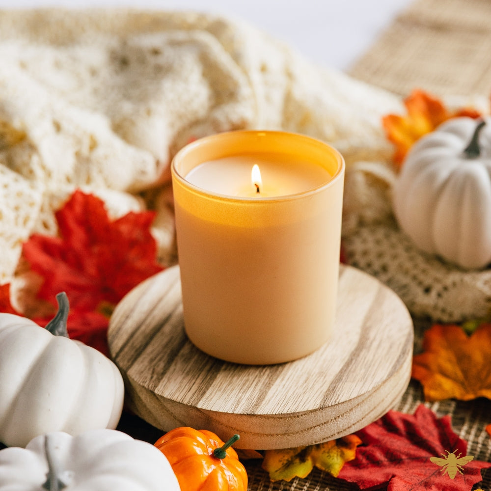 Fall Favorites Air Freshies | Set of 40
