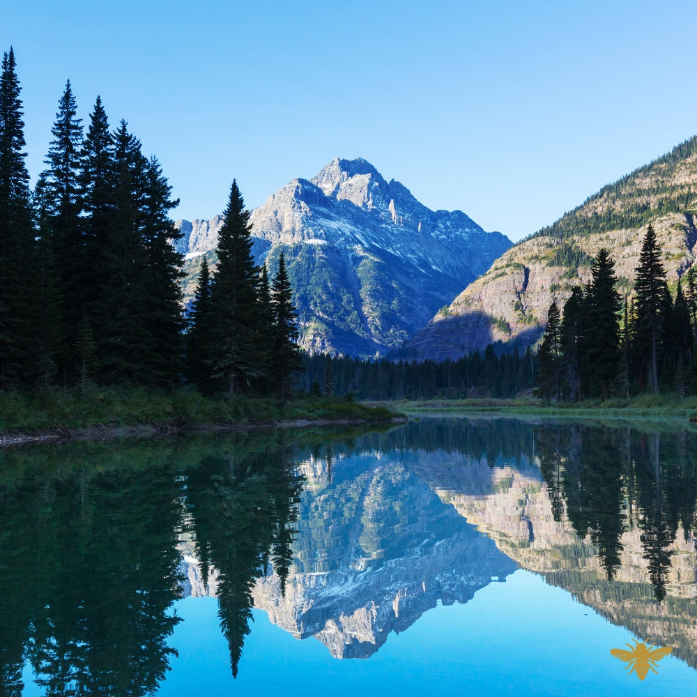Glacier Lake | Fragrance Oil