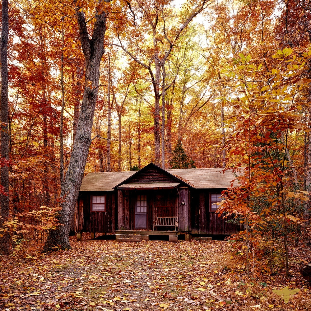 The Gathering Place | Maple & Santal Fragrance Oil