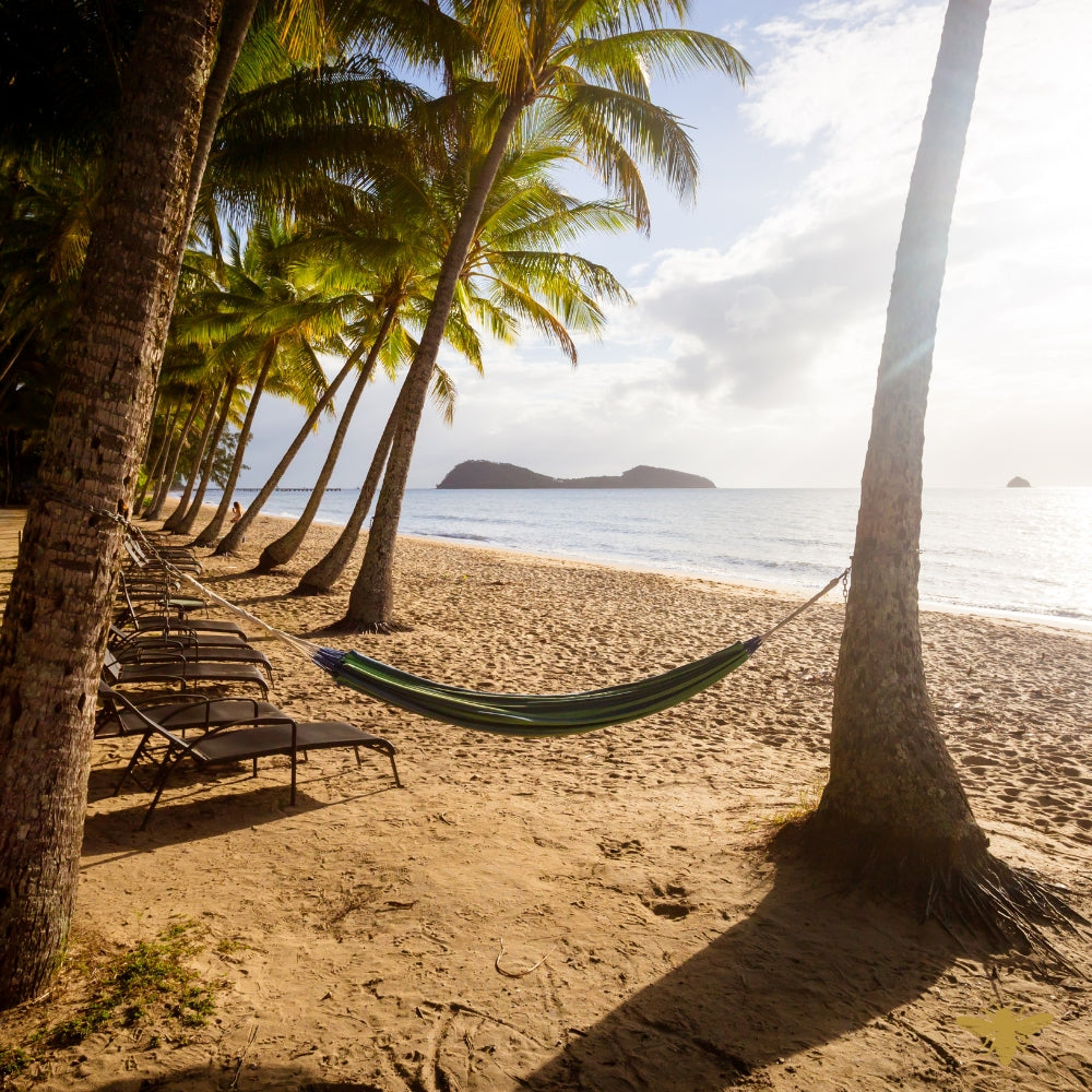 Oceanfront | Fragrance Oil