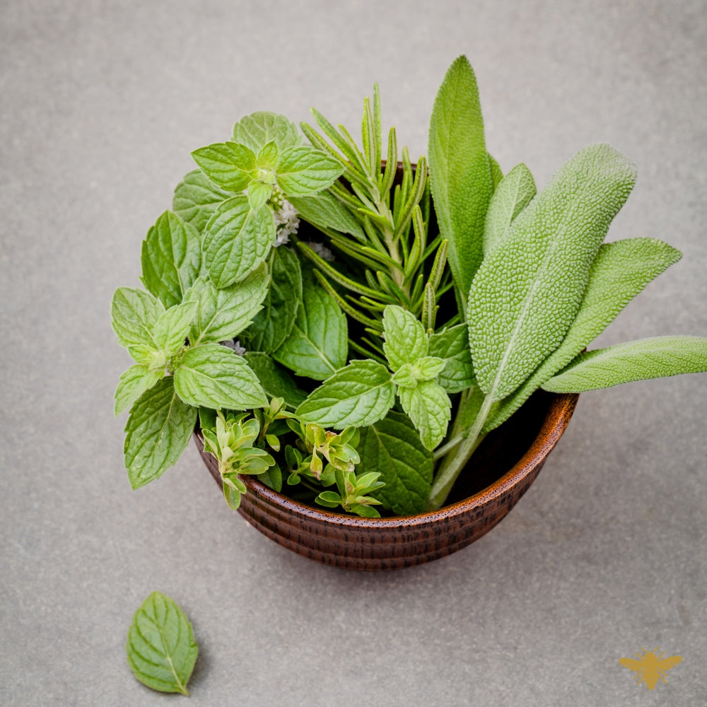 Garden Mint | Peppermint + Thyme Fragrance Oil