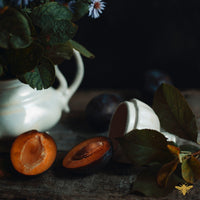Coconut Sands | Fragrance Oil