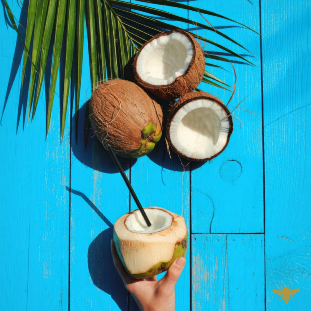 Sunwashed Coconut | Vanilla & Coconut Fragrance Oil