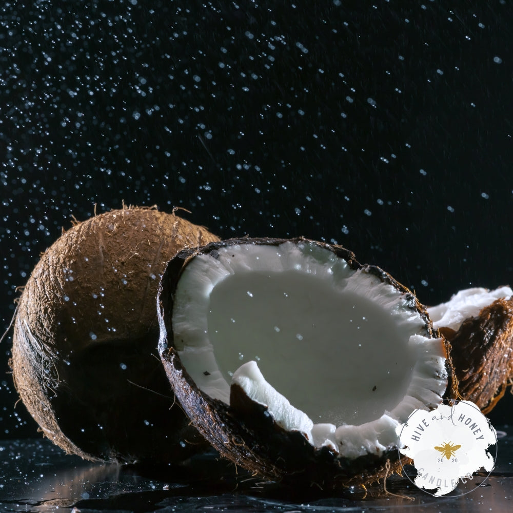 Black Coconut | Clean Fragrance Oil
