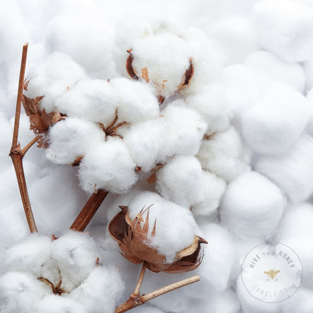 Clean Cotton | Clean Fragrance Oil