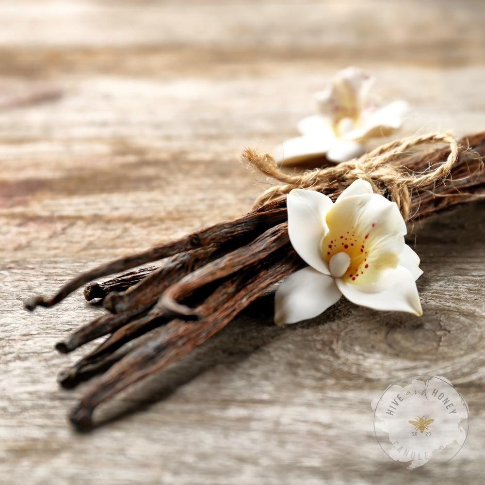 Vanilla Birch Fragrance Oil
